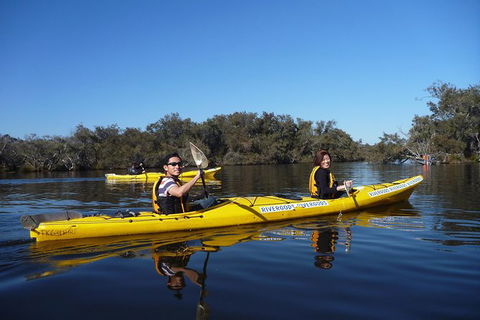 Kayak Tour On The Canning River - Accommodation Port Hedland 0