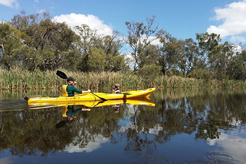 Kayak Tour On The Canning River - Accommodation Port Hedland 2