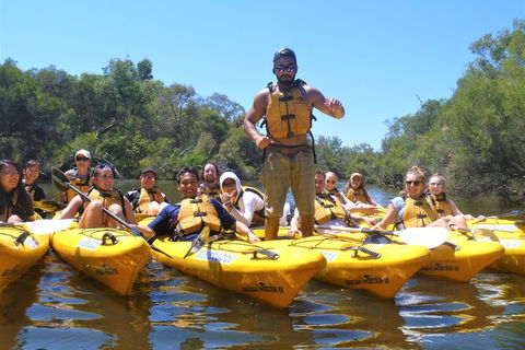 Kayak Tour On The Canning River - Accommodation Port Hedland 3