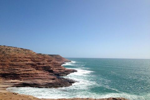 Kalbarri, Pink Lake And Abrolhos Islands Nature Tour - Accommodation Port Hedland 1