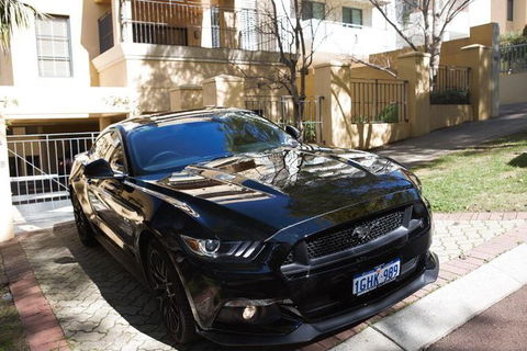 Wineries And Wildlife - With Mustang V8 Fastback - Accommodation Port Hedland 0