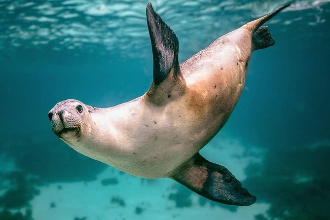 Fremantle WA Accommodation Port Hedland