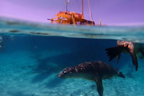 Carnac Island Half Day Sail - Accommodation Port Hedland 1