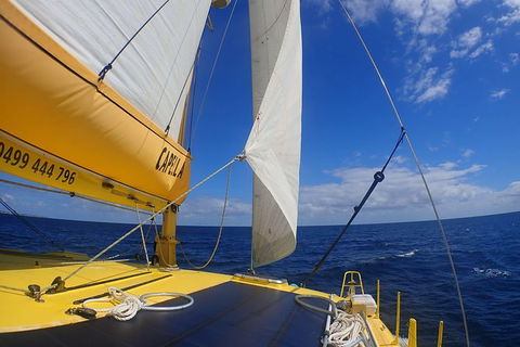 Carnac Island Half Day Sail - Accommodation Port Hedland 5