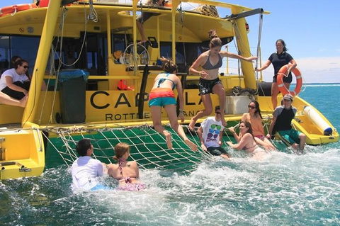 Carnac Island Half Day Sail - Accommodation Port Hedland 4