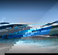 Rottnest Island Day Tour with Wild Seafood Banquet Cruise - Accommodation Port Hedland