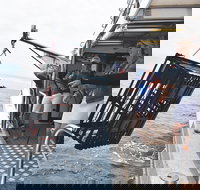 Rottnest Island Wild Seafood Package from Perth with Transfer - Accommodation Port Hedland