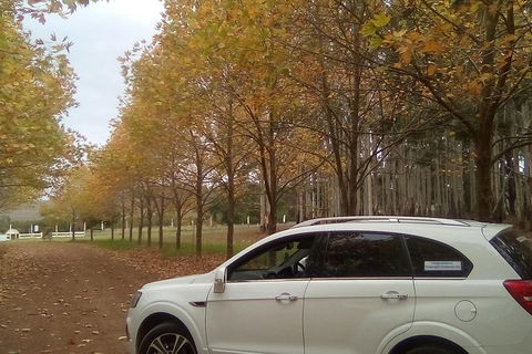 Customisable Wine Tour On A Budget For A Group Up To 6 People - Accommodation Port Hedland 1