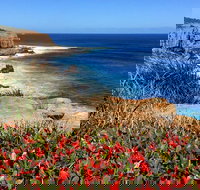 Cape to Cape End-to-End 8 Day Walking Experience - Accommodation Port Hedland