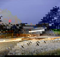 1 Day Private Phillip Island Tour VIP Charter up to 9 People - Accommodation Port Hedland