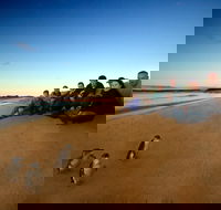 Phillip Island Ultimate Penguin Eco Tour or Skybox Experience - Accommodation Port Hedland