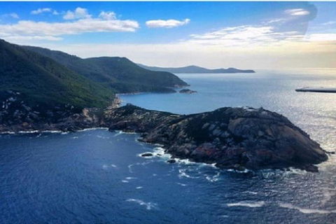 Wilsons Promontory Walking And Sightseeing Tour From Phillip Island - Accommodation Port Hedland 0