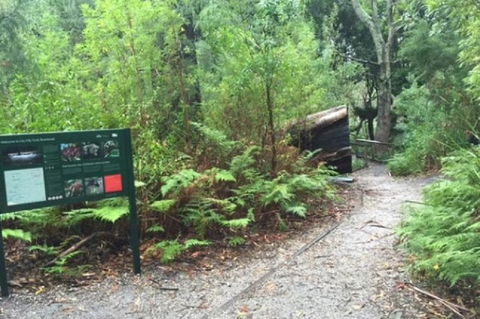 Wilsons Promontory Walking And Sightseeing Tour From Phillip Island - Accommodation Port Hedland 1