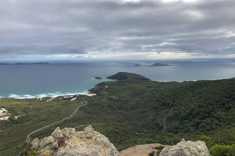 Wilsons Promontory Walking And Sightseeing Tour From Phillip Island - Accommodation Port Hedland 7