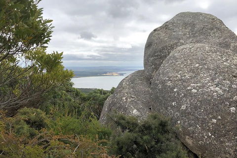 Wilsons Promontory Walking And Sightseeing Tour From Phillip Island - Accommodation Port Hedland 15