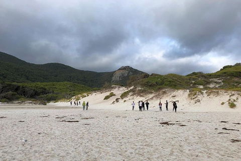 Wilsons Promontory Walking And Sightseeing Tour From Phillip Island - Accommodation Port Hedland 4