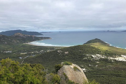 Wilsons Promontory Walking And Sightseeing Tour From Phillip Island - Accommodation Port Hedland 12