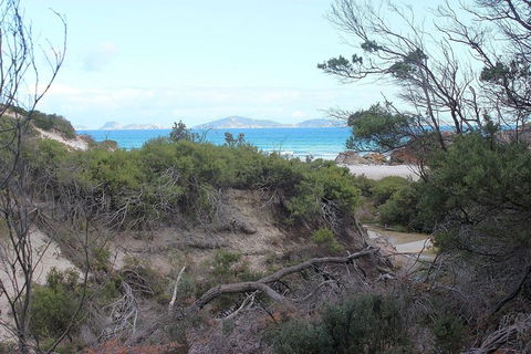 Wilsons Promontory Walking And Sightseeing Tour From Phillip Island - Accommodation Port Hedland 14