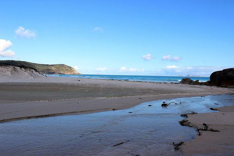 Wilsons Promontory Walking And Sightseeing Tour From Phillip Island - Accommodation Port Hedland 3