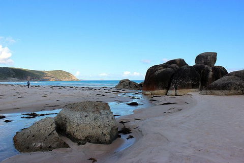 Wilsons Promontory Walking And Sightseeing Tour From Phillip Island - Accommodation Port Hedland 10