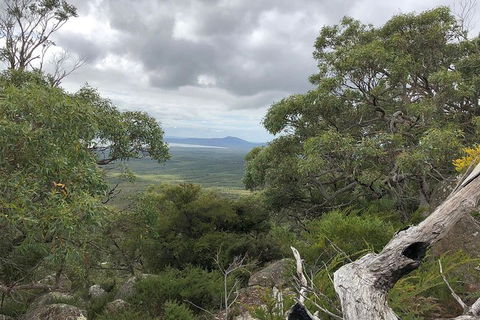 Wilsons Promontory Walking And Sightseeing Tour From Phillip Island - Accommodation Port Hedland 13