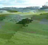 Day Tour of Phillip Island  Surrounding Region - Accommodation Port Hedland