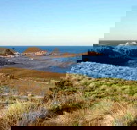 Phillip Island Walking  Bird Watching Tour - Accommodation Port Hedland