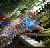 Phillip Island 3 Park Pass Penguin Parade Koala Conservation Centre and Penguin Parade Koala ConservationHeritage Farm - Accommodation Port Hedland