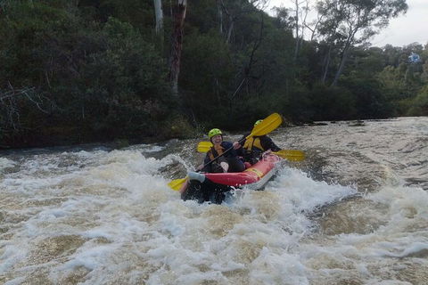 White-Water Kayaking On The Yarra River - Accommodation Port Hedland 5
