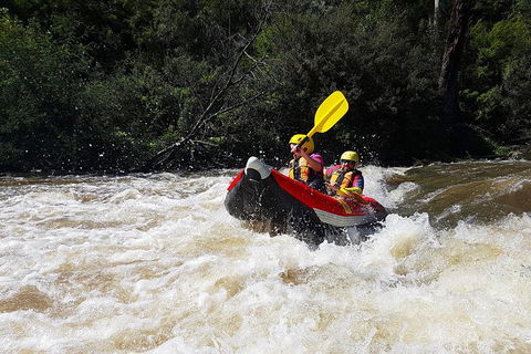 White-Water Kayaking On The Yarra River - Accommodation Port Hedland 6