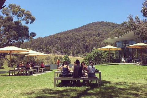 CHEVY CONVERTIBLE Package For 2 People- Wine Lunch Cheese & Chocolate From Melb. - Accommodation Port Hedland 6