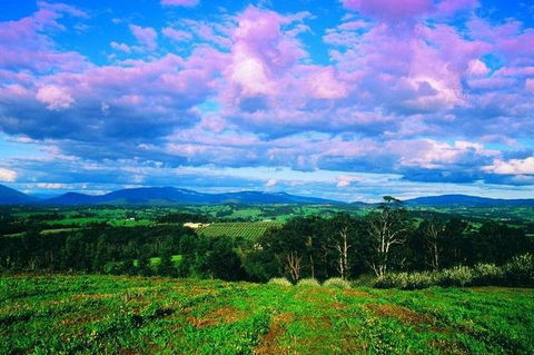 CHEVY CONVERTIBLE Package For 2 People- Wine Lunch Cheese & Chocolate From Melb. - Accommodation Port Hedland 7