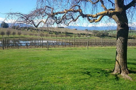 CHEVY CONVERTIBLE Package For 2 People- Wine Lunch Cheese & Chocolate From Melb. - Accommodation Port Hedland 4