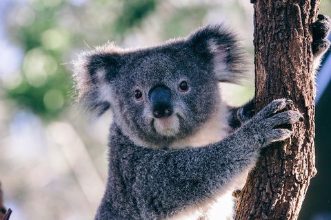 AUSTRALIAN NATIVE FOOD TOUR From Melbourne - Accommodation Port Hedland 1
