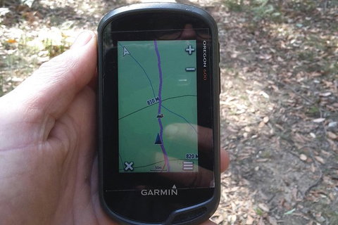 GPS Guided Walks In The Daylesford Forest - Accommodation Port Hedland 0