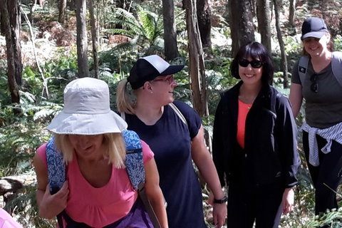GPS Guided Walks In The Daylesford Forest - Accommodation Port Hedland 1