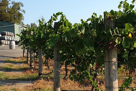 Wine Tasting Tour In The Yarra Valley - Accommodation Port Hedland 2