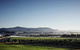 Chauffeur Driven Yarra Valley Group Wine Tour - Up To 7 - thumb 8