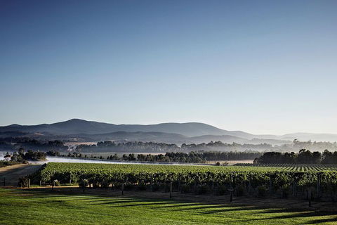 Chauffeur Driven Yarra Valley Group Wine Tour - Up To 7 - Accommodation Port Hedland 8