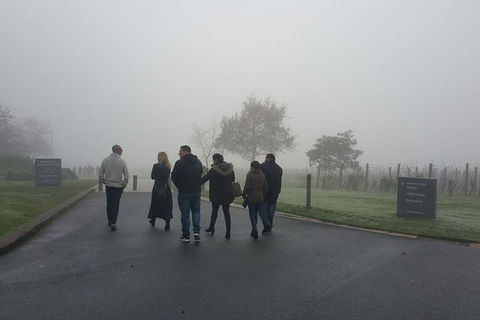 Chauffeur Driven Yarra Valley Group Wine Tour - Up To 7 - Accommodation Port Hedland 7