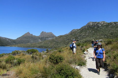 Cradle Mountain Active Day Trip From Launceston - Accommodation Port Hedland 9
