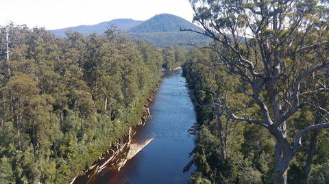 Small-group DayTour From Hobart: Hastings Caves, Huon Valley And Tahune AirWalk - Accommodation Port Hedland 3