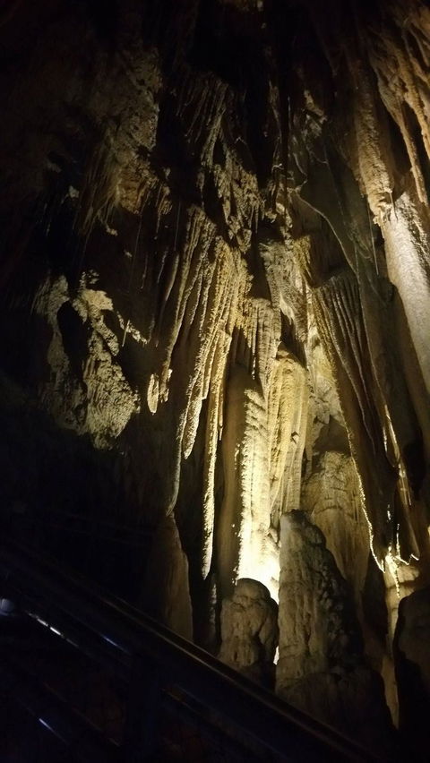 Small-group DayTour From Hobart: Hastings Caves, Huon Valley And Tahune AirWalk - Accommodation Port Hedland 5