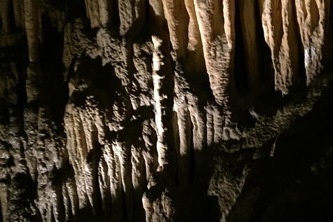 Small-group DayTour From Hobart: Hastings Caves, Huon Valley And Tahune AirWalk - Accommodation Port Hedland 1