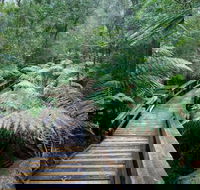 Small-group DayTour from Hobart Hastings Caves Huon Valley and Tahune AirWalk - Accommodation Port Hedland