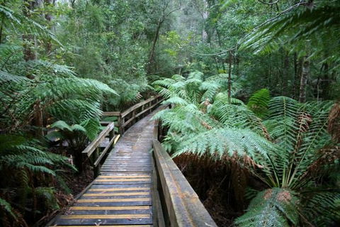 Small-group DayTour From Hobart: Hastings Caves, Huon Valley And Tahune AirWalk - Accommodation Port Hedland 0