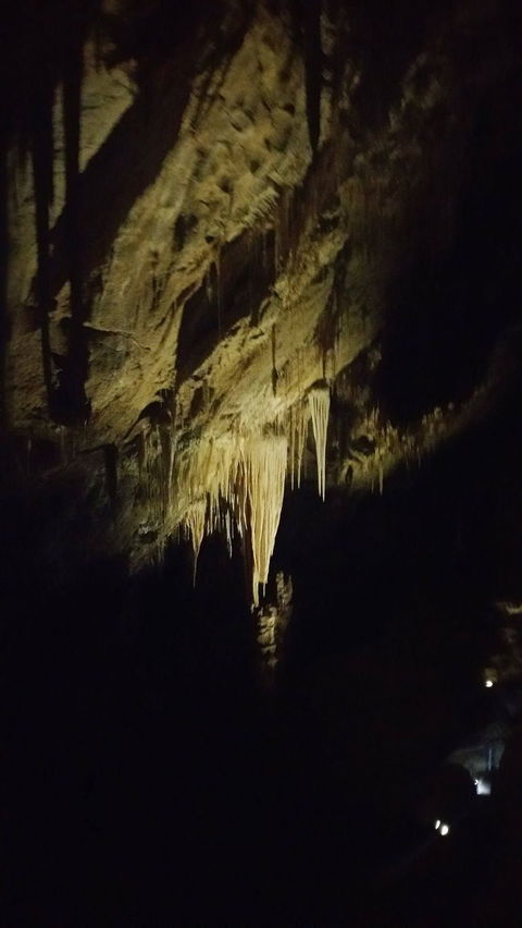 Small-group DayTour From Hobart: Hastings Caves, Huon Valley And Tahune AirWalk - Accommodation Port Hedland 7