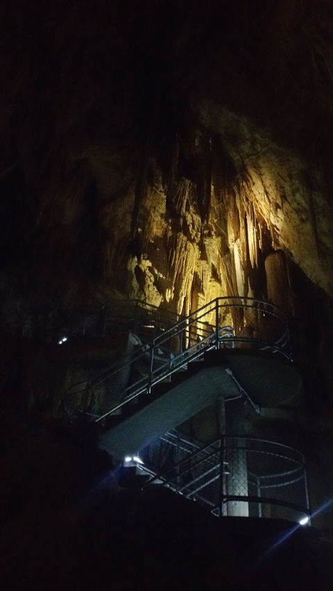 Small-group DayTour From Hobart: Hastings Caves, Huon Valley And Tahune AirWalk - Accommodation Port Hedland 4