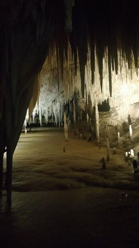 Small-group DayTour From Hobart: Hastings Caves, Huon Valley And Tahune AirWalk - Accommodation Port Hedland 8