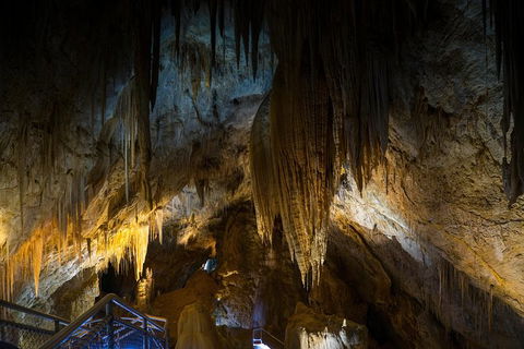 Small-group DayTour From Hobart: Hastings Caves, Huon Valley And Tahune AirWalk - Accommodation Port Hedland 19